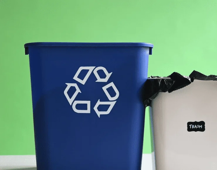 bin-cleaning